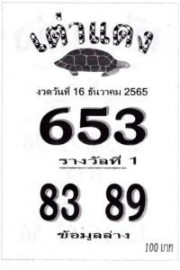 หวย 24 หวยเต่าแดง 16/12/65