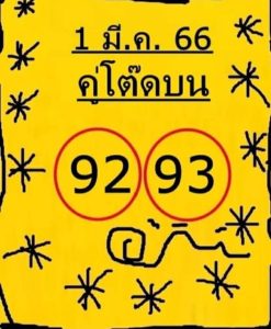 หวย 24 คู่โต๊ดบน 1/3/66