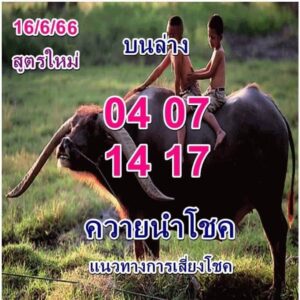 เด็ดดังหวยควายนำโชค 1-7-66