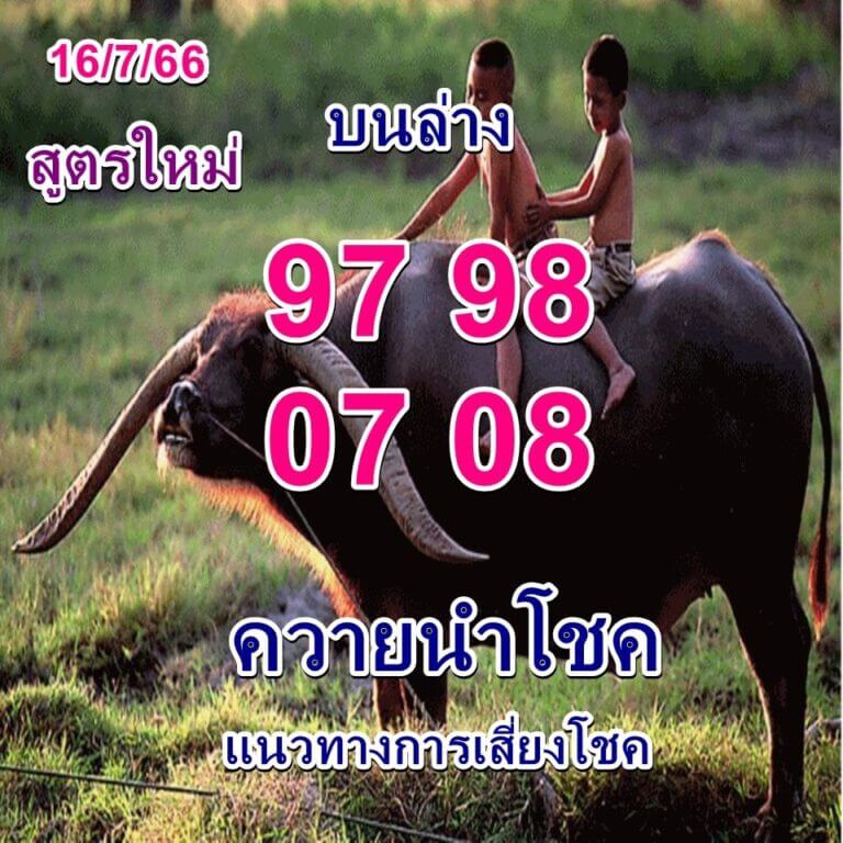 หวยไทย ควายนำโชค 16/7/66