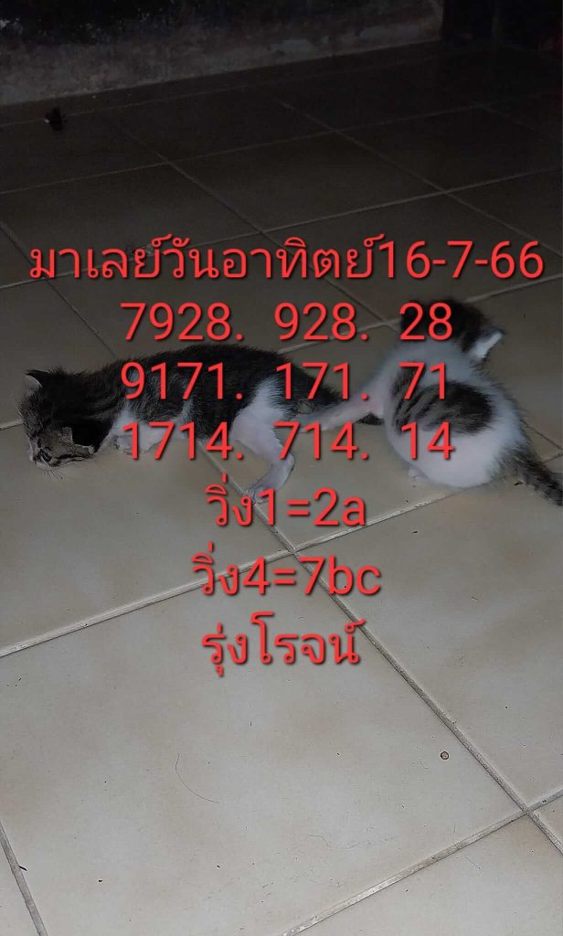 เลขเด็ด หวยมาเลย์ 17/7/66